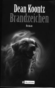 Bkoontz1.jpg (10171 Byte)